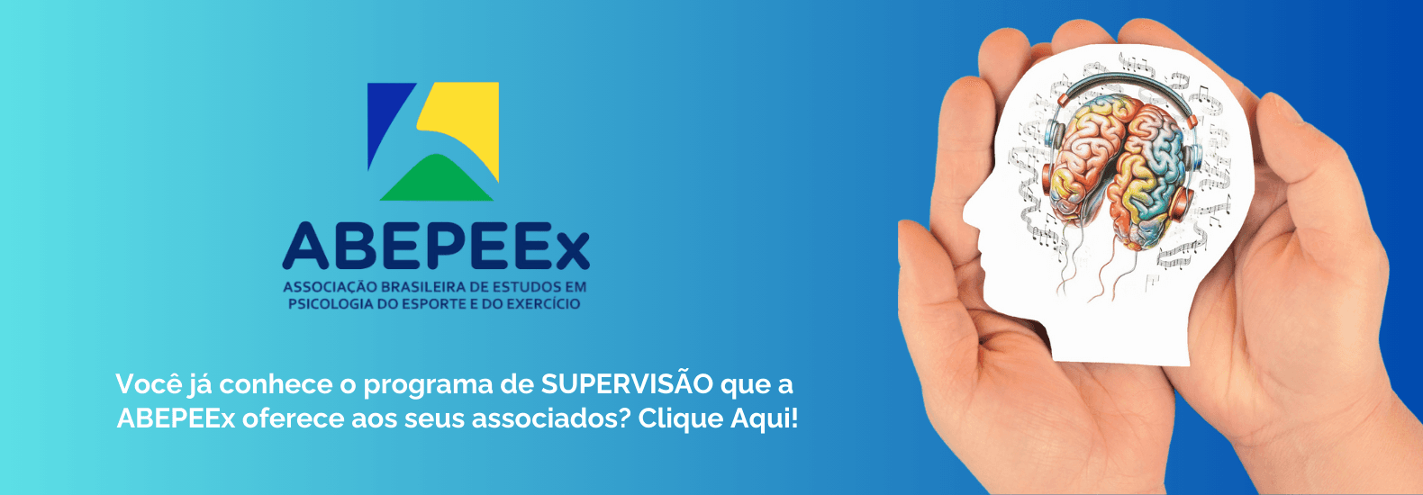 Supervisões com membros ABEPEEx